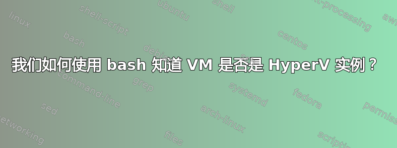 我们如何使用 bash 知道 VM 是否是 HyperV 实例？