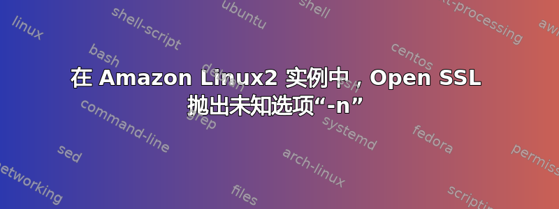 在 Amazon Linux2 实例中，Open SSL 抛出未知选项“-n”