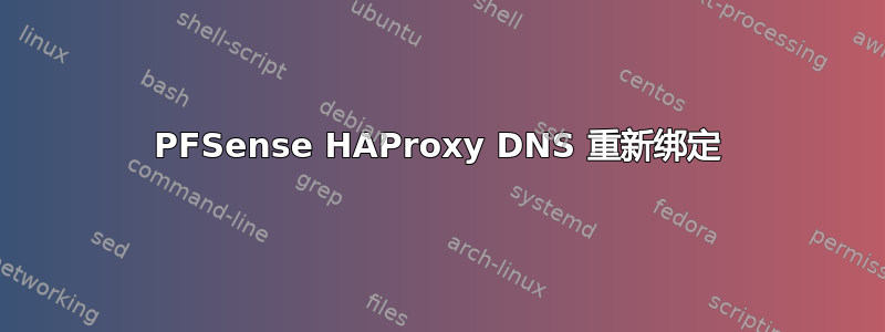 PFSense HAProxy DNS 重新绑定