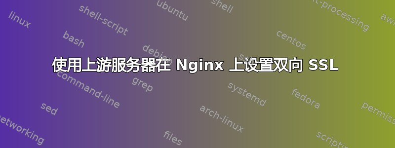 使用上游服务器在 Nginx 上设置双向 SSL