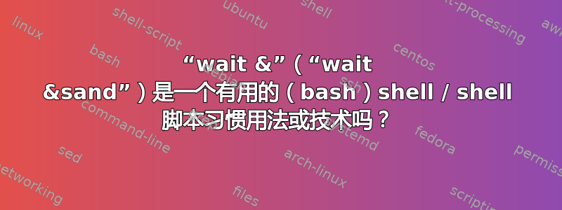 “wait &”（“wait &sand”）是一个有用的（bash）shell / shell 脚本习惯用法或技术吗？