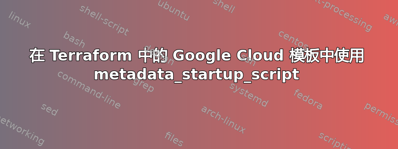 在 Terraform 中的 Google Cloud 模板中使用 metadata_startup_script