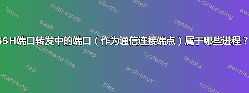 SSH端口转发中的端口（作为通信连接端点）属于哪些进程？