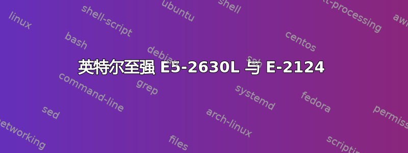 英特尔至强 E5-2630L 与 E-2124