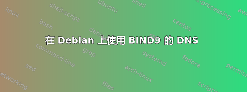 在 Debian 上使用 BIND9 的 DNS