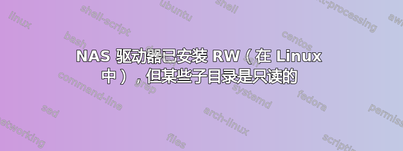 NAS 驱动器已安装 RW（在 Linux 中），但某些子目录是只读的