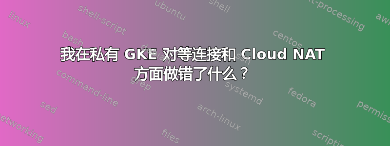 我在私有 GKE 对等连接和 Cloud NAT 方面做错了什么？