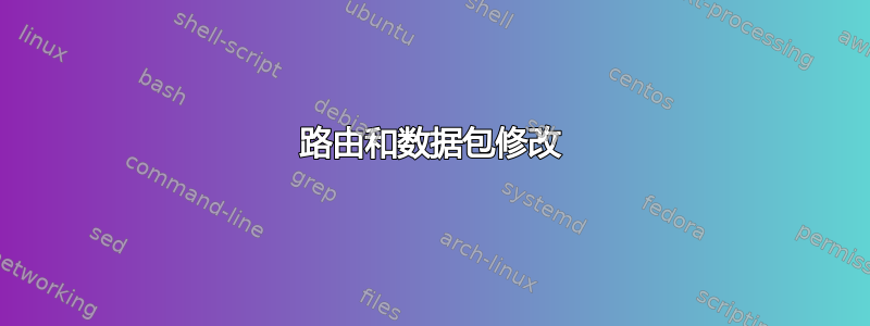 路由和数据包修改