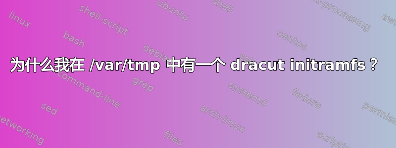 为什么我在 /var/tmp 中有一个 dracut initramfs？