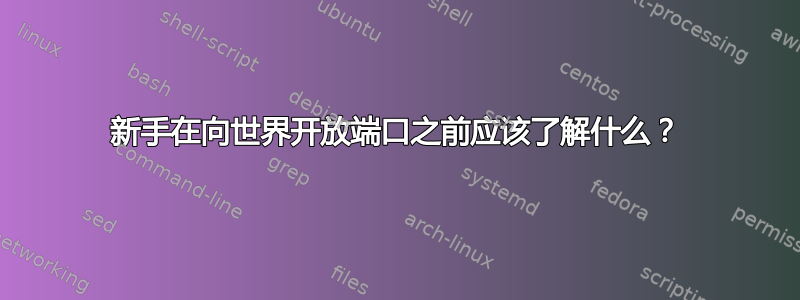 新手在向世界开放端口之前应该了解什么？