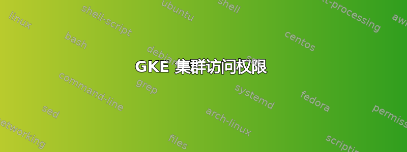 GKE 集群访问权限