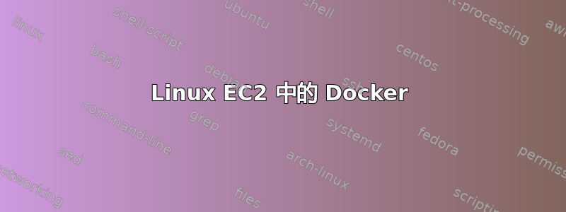 Linux EC2 中的 Docker