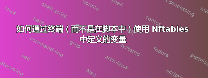 如何通过终端（而不是在脚本中）使用 Nftables 中定义的变量