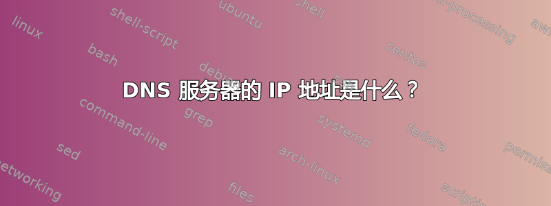 DNS 服务器的 IP 地址是什么？