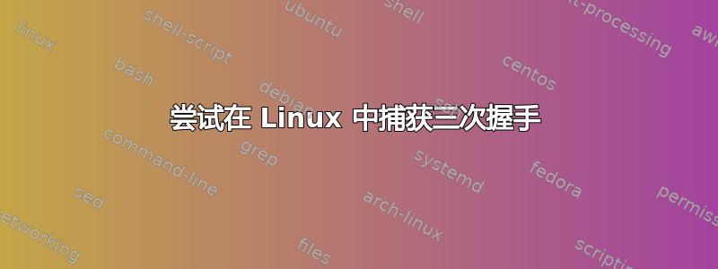 尝试在 Linux 中捕获三次握手