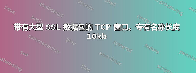 带有大型 SSL 数据包的 TCP 窗口。专有名称长度 10kb