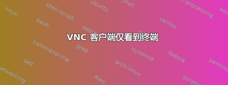 VNC 客户端仅看到终端