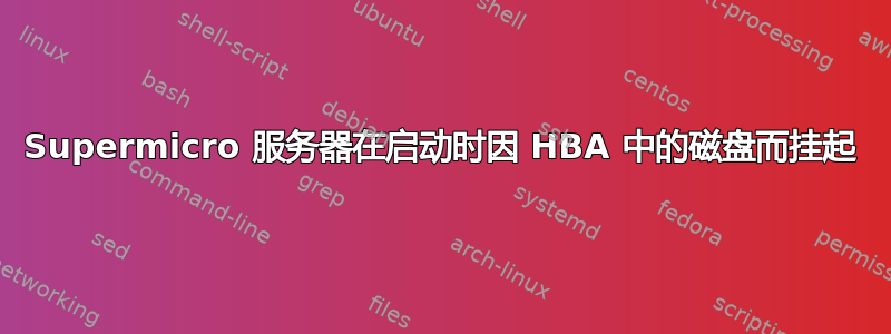 Supermicro 服务器在启动时因 HBA 中的磁盘而挂起