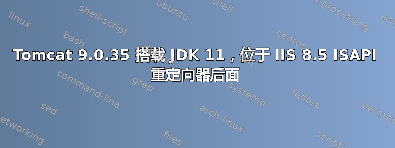 Tomcat 9.0.35 搭载 JDK 11，位于 IIS 8.5 ISAPI 重定向器后面