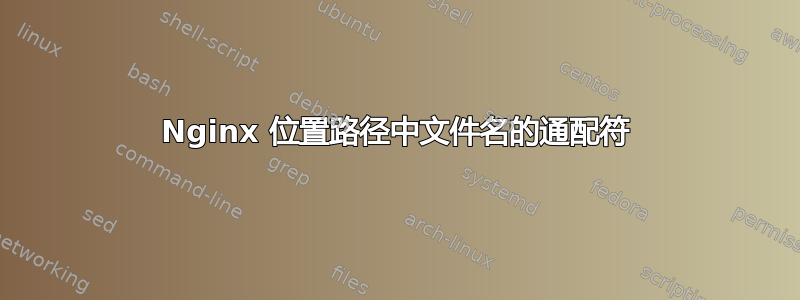 Nginx 位置路径中文件名的通配符