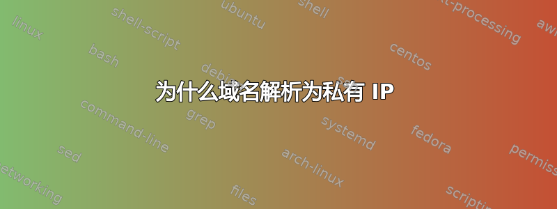 为什么域名解析为私有 IP