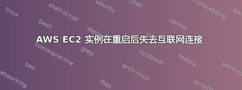 AWS EC2 实例在重启后失去互联网连接