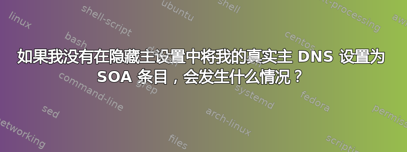 如果我没有在隐藏主设置中将我的真实主 DNS 设置为 SOA 条目，会发生什么情况？