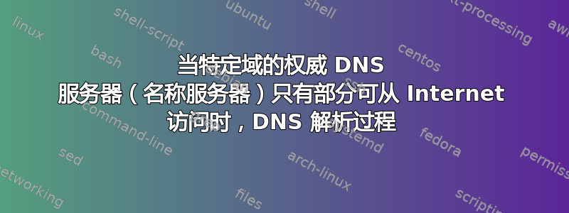 当特定域的权威 DNS 服务器（名称服务器）只有部分可从 Internet 访问时，DNS 解析过程