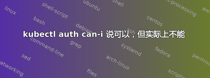 kubectl auth can-i 说可以，但实际上不能