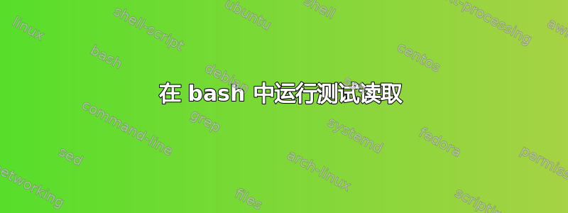 在 bash 中运行测试读取