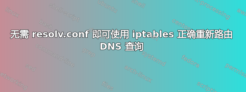 无需 resolv.conf 即可使用 iptables 正确重新路由 DNS 查询