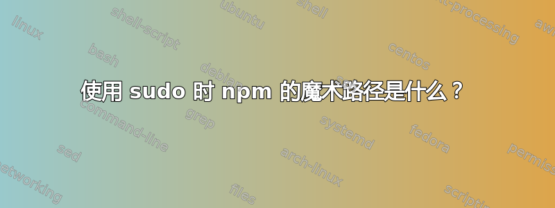 使用 sudo 时 npm 的魔术路径是什么？