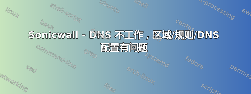 Sonicwall - DNS 不工作，区域/规则/DNS 配置有问题