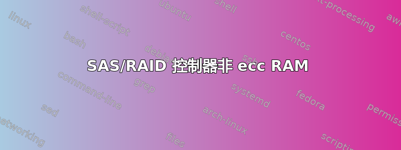 SAS/RAID 控制器非 ecc RAM