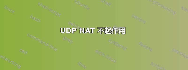 UDP NAT 不起作用