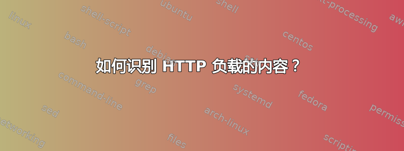 如何识别 HTTP 负载的内容？