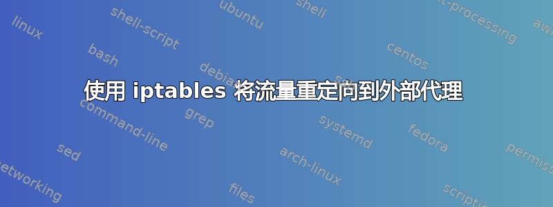 使用 iptables 将流量重定向到外部代理