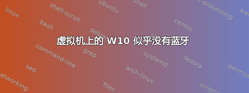 虚拟机上的 W10 似乎没有蓝牙