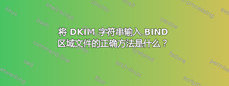 将 DKIM 字符串输入 BIND 区域文件的正确方法是什么？