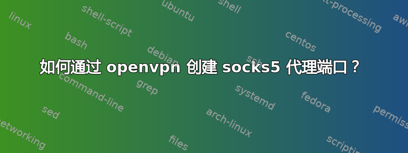 如何通过 openvpn 创建 socks5 代理端口？