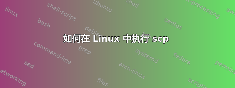 如何在 Linux 中执行 scp