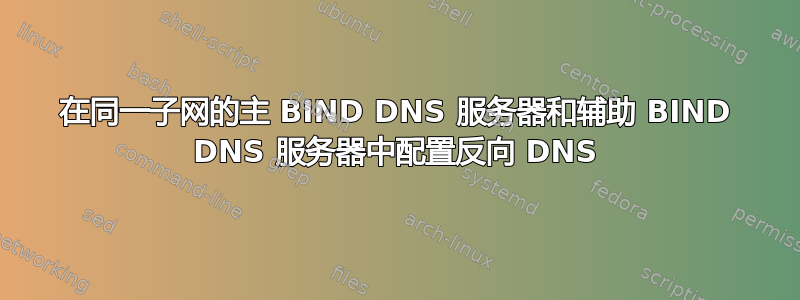 在同一子网的主 BIND DNS 服务器和辅助 BIND DNS 服务器中配置反向 DNS