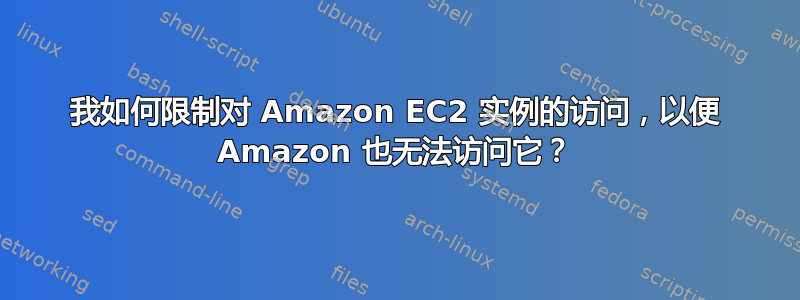 我如何限制对 Amazon EC2 实例的访问，以便 Amazon 也无法访问它？