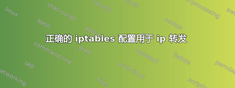 正确的 iptables 配置用于 ip 转发