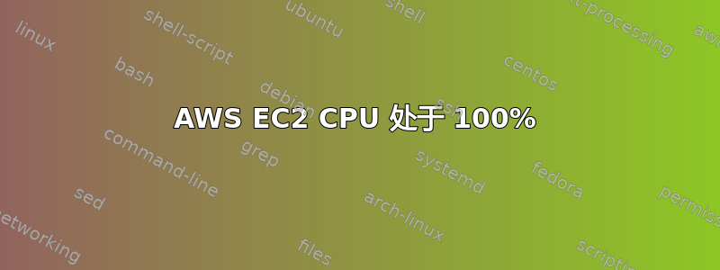 AWS EC2 CPU 处于 100%