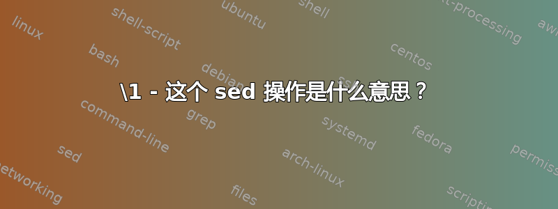 \1 - 这个 sed 操作是什么意思？