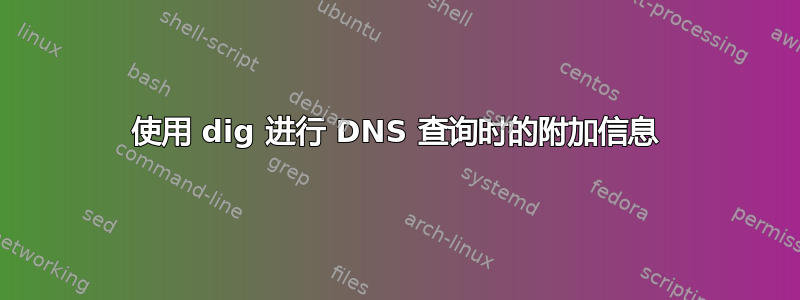 使用 dig 进行 DNS 查询时的附加信息