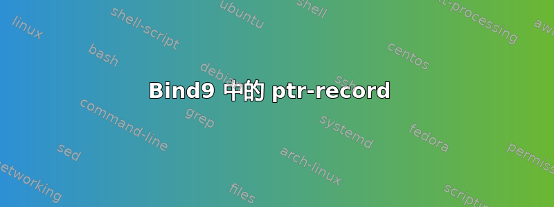 Bind9 中的 ptr-record 