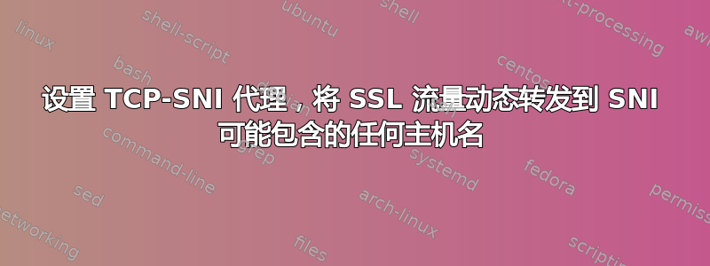 设置 TCP-SNI 代理，将 SSL 流量动态转发到 SNI 可能包含的任何主机名