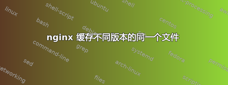 nginx 缓存不同版本的同一个文件